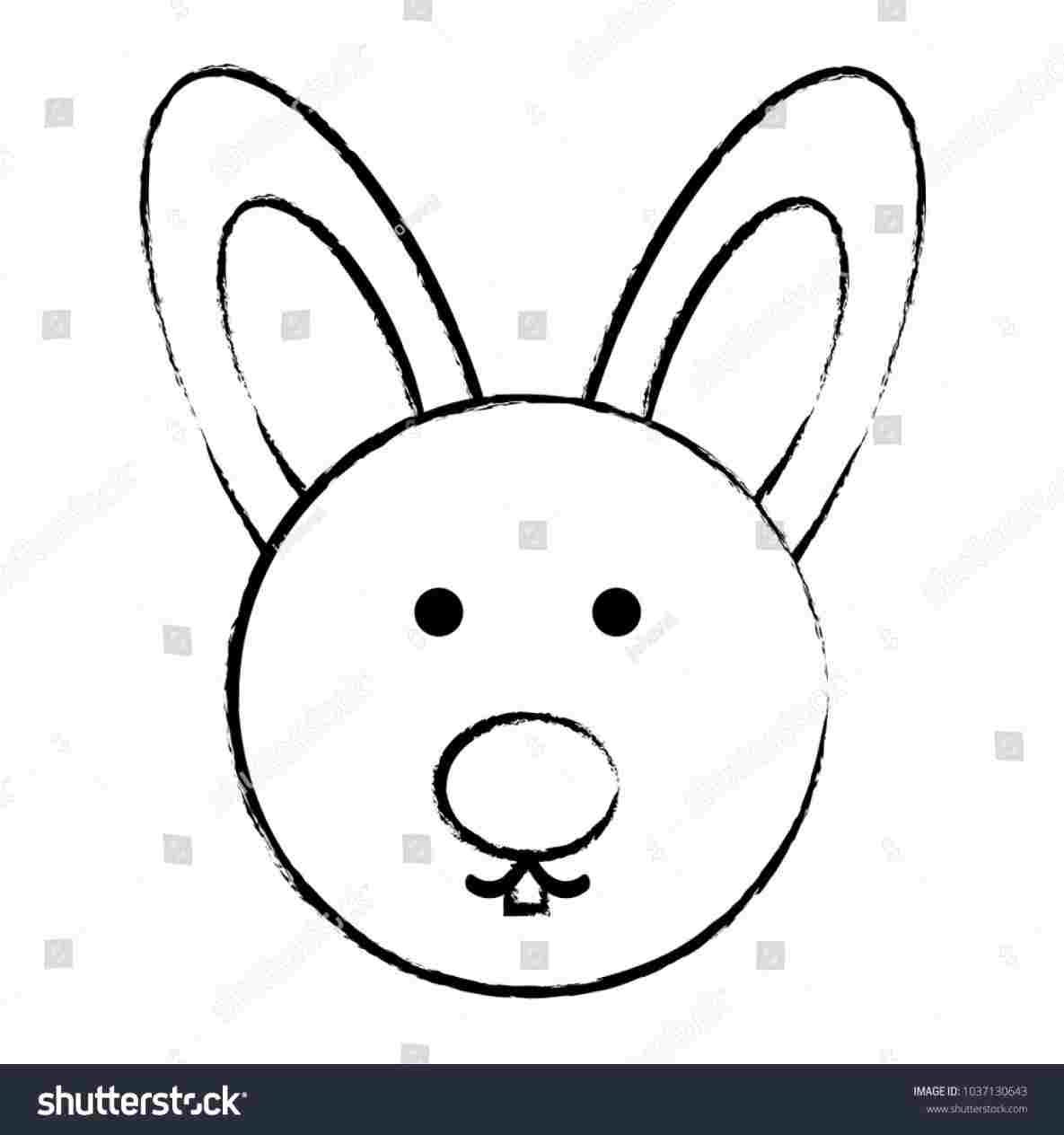 1185x1264 Drawing Of Rabbit Face