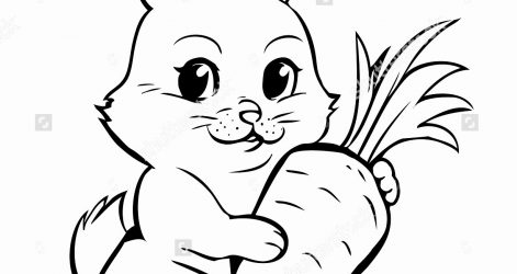 471x250 Bunny Rabbit Face Drawing Pencil Cute Line Directed Carmi Chaelinn