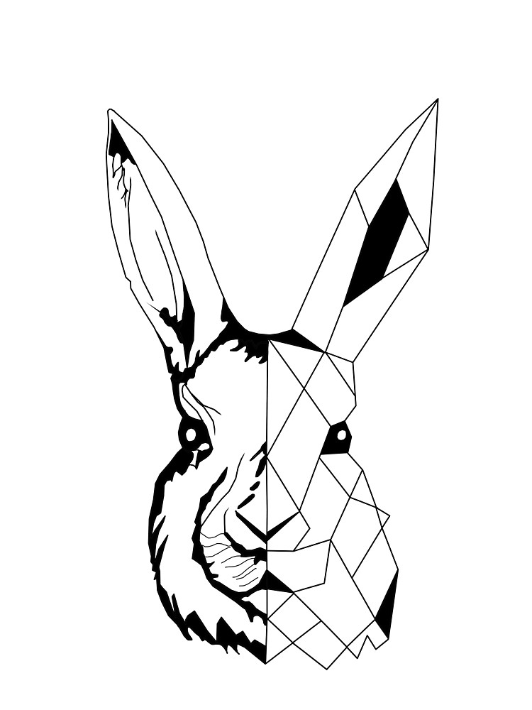 Rabbit Head Drawing