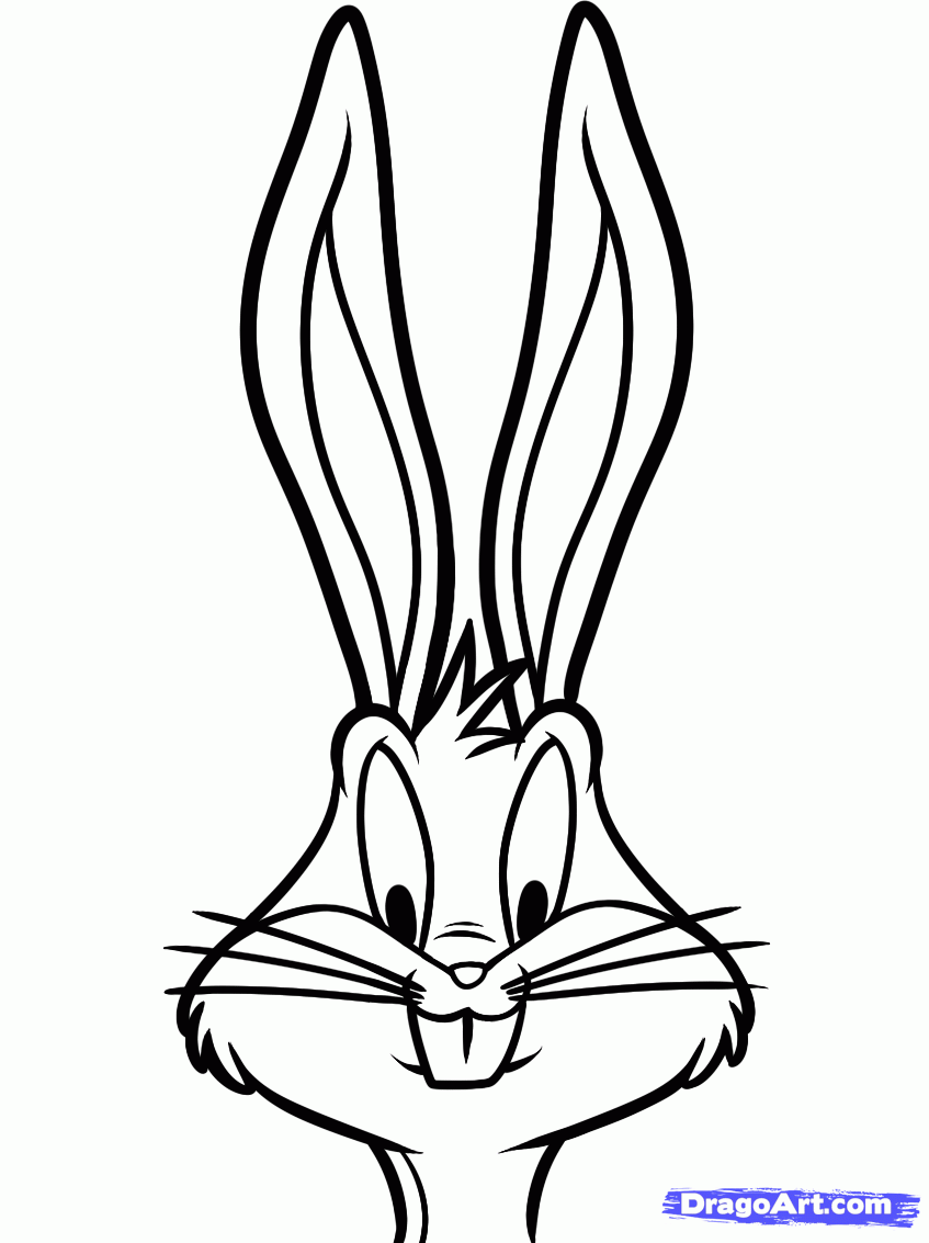 847x1133 step drawing in bugs drawing, bugs bunny drawing, bunny