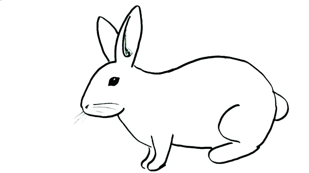1024x576 Drawing Of A Bunny Learn How To Draw A Rabbit Step
