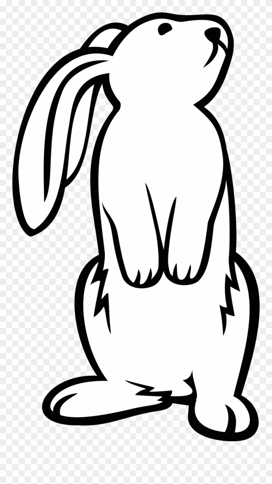 880x1564 White Bunny