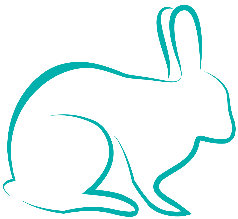 1000x920 Curicyn Implied Line Drawing Rabbit