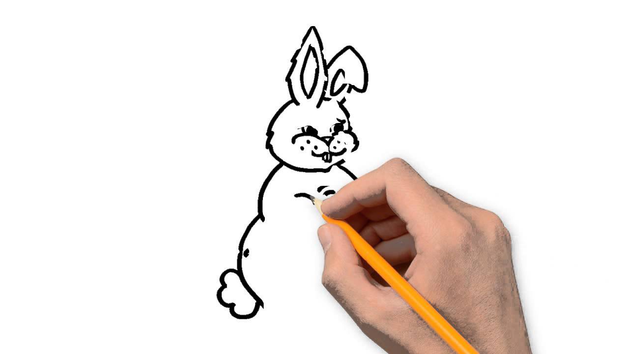 1280x720 Bunny Animals Pencil To Draw Step