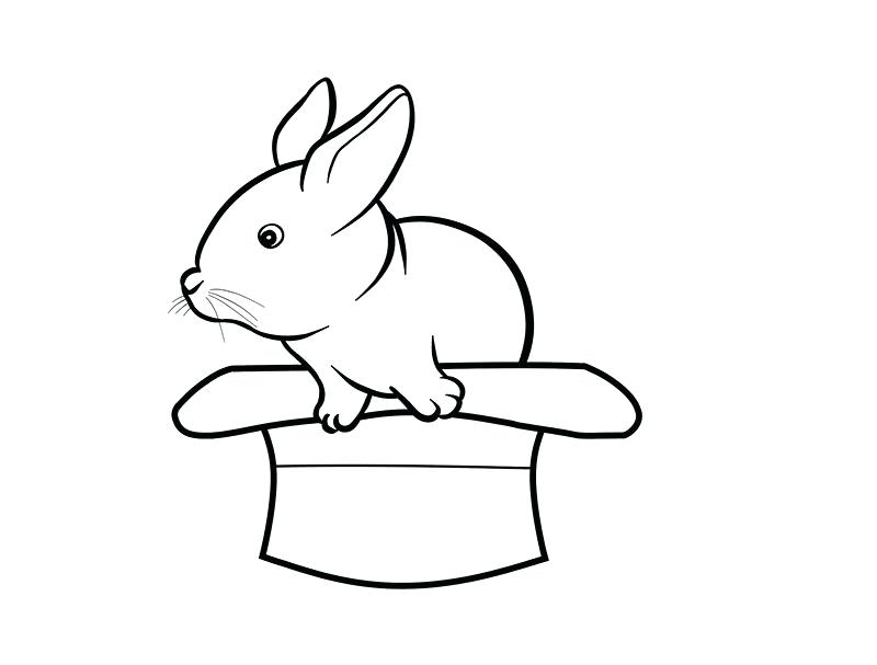 800x607 How To Draw A Toad Step