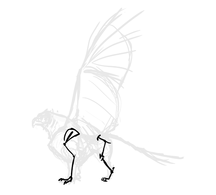 700x631 How To Draw A Griffin