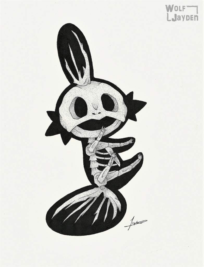 783x1024 Mudkip Skeleton Amino