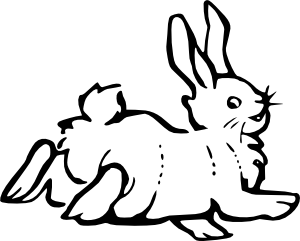 300x241 Rabbit Sketch Fun Pics Images