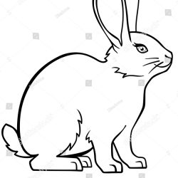 250x250 Bunny Rabbit Drawing Easy Of Outline Video Pictures To Cartoon