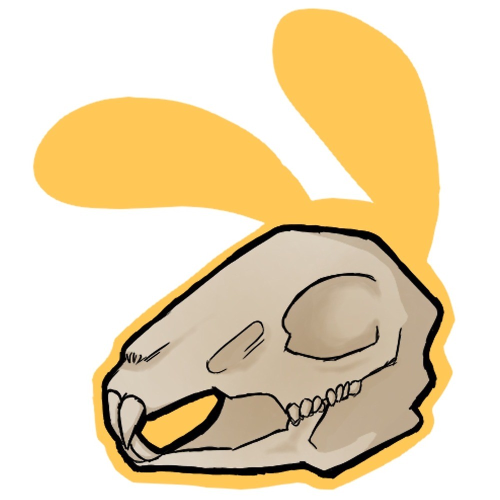 1000x1000 Rabbit Skull Design
