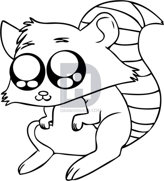 654x720 How To Draw A Cartoon Raccoon, Step