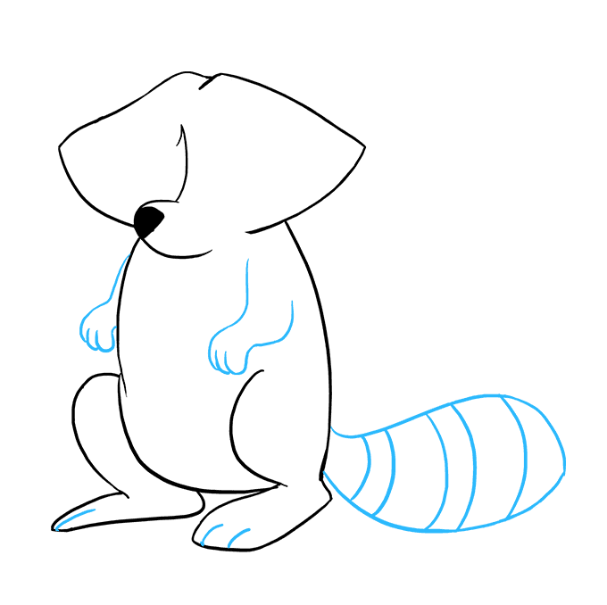 680x678 How To Draw A Raccoon