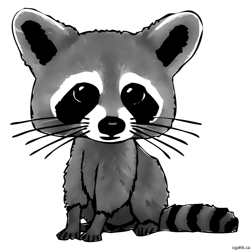 1000x1000 Cartoon Raccoon Drawing In Steps With Photoshop