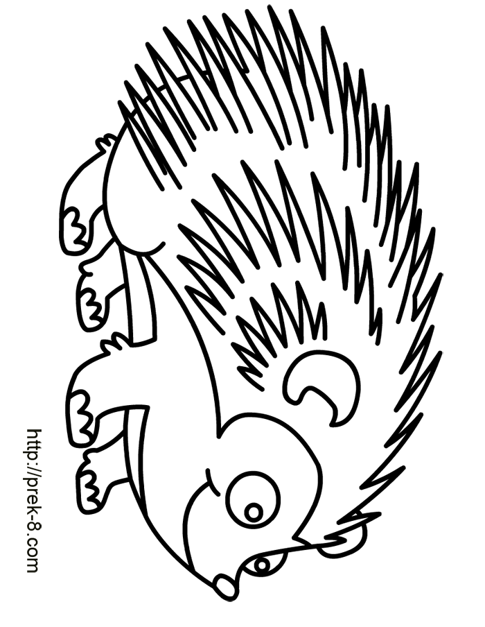 700x904 Drawing Raccoon Color Transparent Png Clipart Free Download