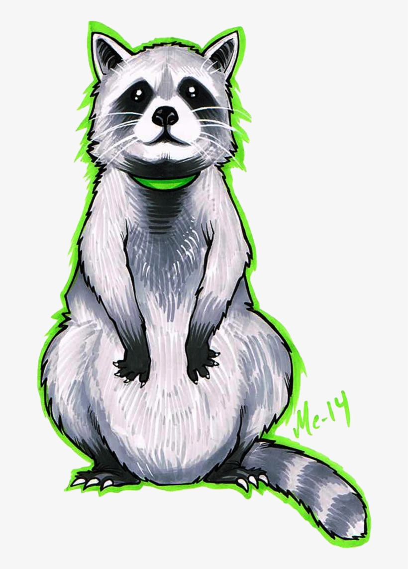 820x1144 Drawing Raccoon Portrait