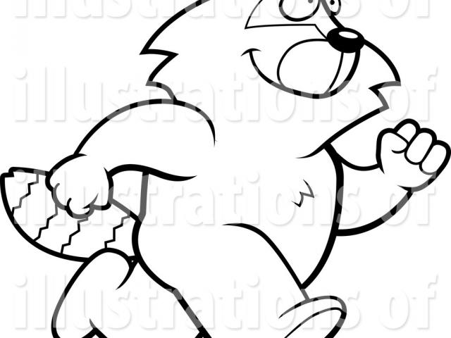 640x480 Raccoon Clipart Raccoon Drawing