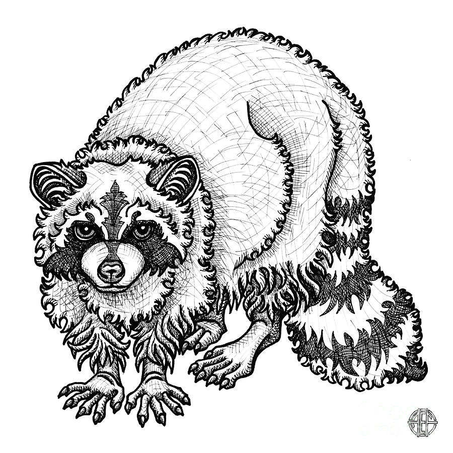 900x900 Raccoon Drawing