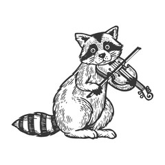 240x240 Raccoon Drawing Photos, Royalty Free Images, Graphics, Vectors