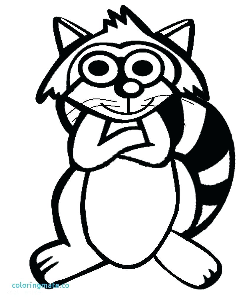 Raccoon Drawing Easy