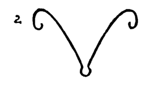 300x186 How To Draw A Raccoon Face Step