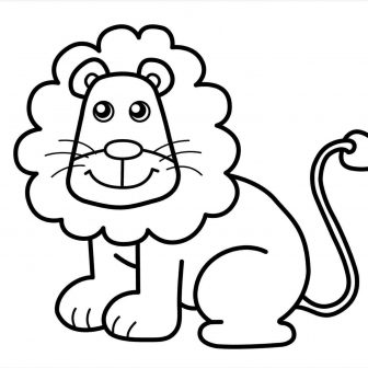 336x336 Raccoon Dog Drawing Butterflyfish Easy Simple Guide Images I