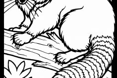 236x157 Rocket Raccoon Drawing Step