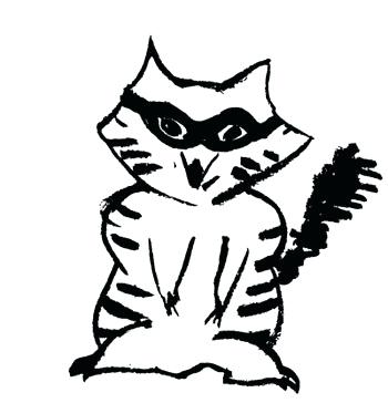 350x364 Raccoon Drawings