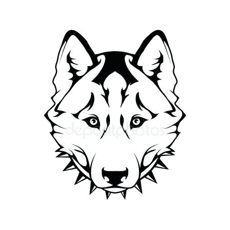 450x450 How Do You Draw A Raccoon Draw A Raccoon Face Draw It Too Rocket