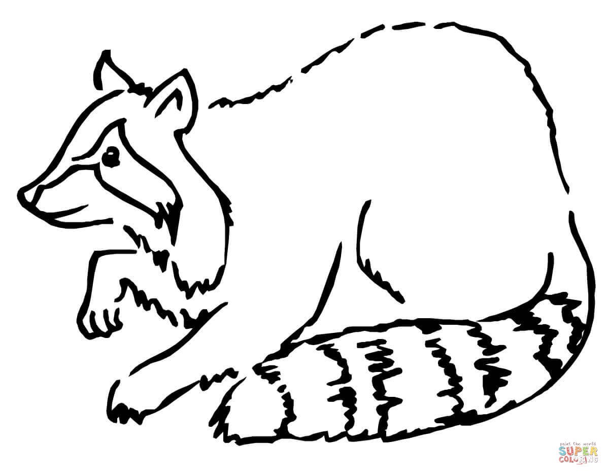1200x936 Raccoon Coloring Pages For Kids With Racoon