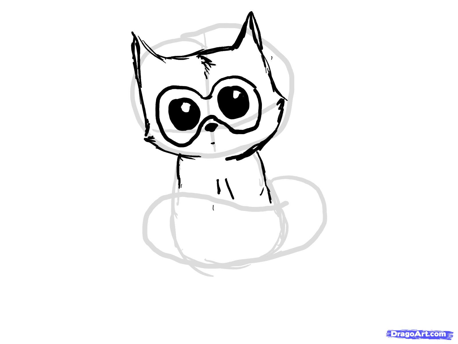 1600x1200 Raccoon Face Drawing Easy