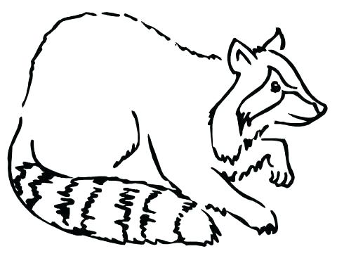 480x374 Coloring Pages For Adults Easy To Print Disney How Draw A Raccoon