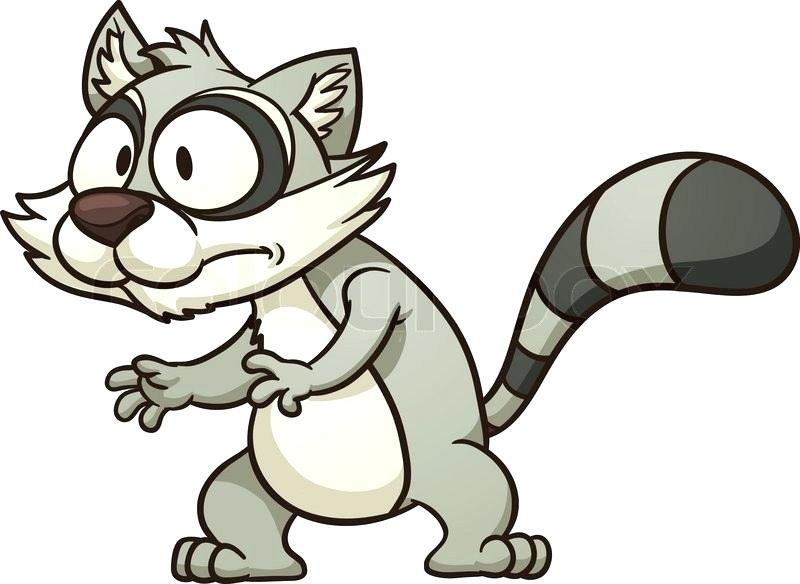 800x584 Racoon Drawings Raccoon Charcoal Drawing Previous Next Cute