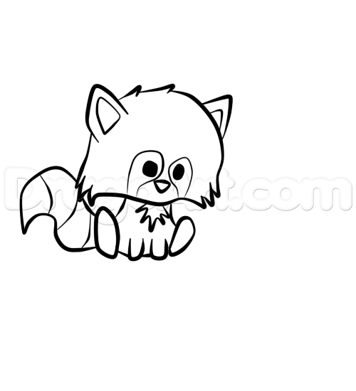 500x550 Draw A Cute Raccoon, Step