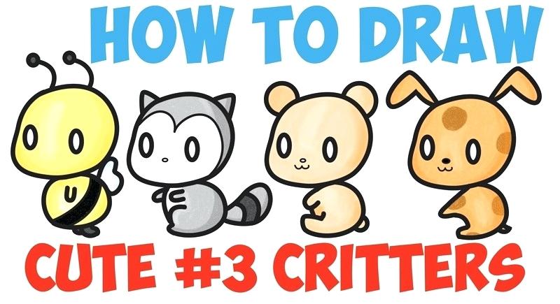800x435 How To Draw A Raccoon Easy