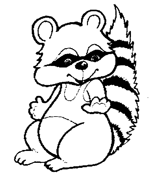 494x576 Racoon Drawingspatterns For Everything Animal Coloring Pages