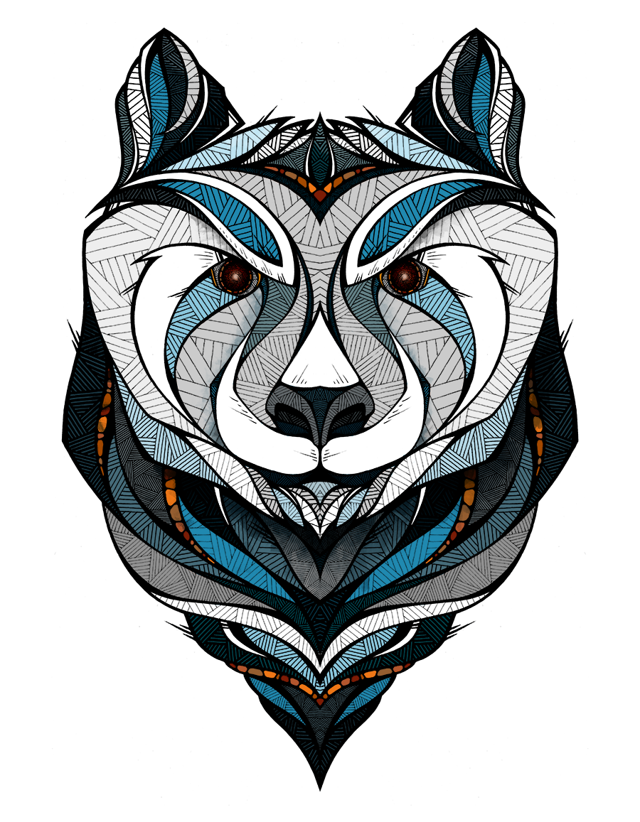 900x1157 Collection Of Free Raccoon Drawing Traditional Download On Ui Ex