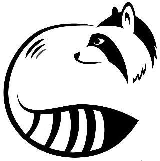 319x321 raccoon clipart raccoon drawing