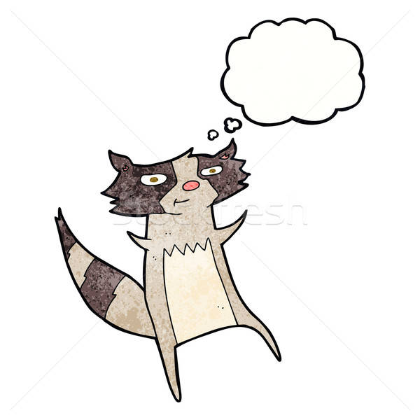 600x600 Cartoon Raccoon With Thought Bubble Vector Illustration