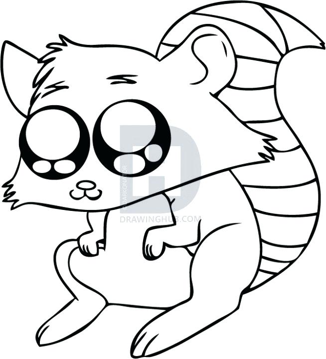 654x720 How Do You Draw A Raccoon