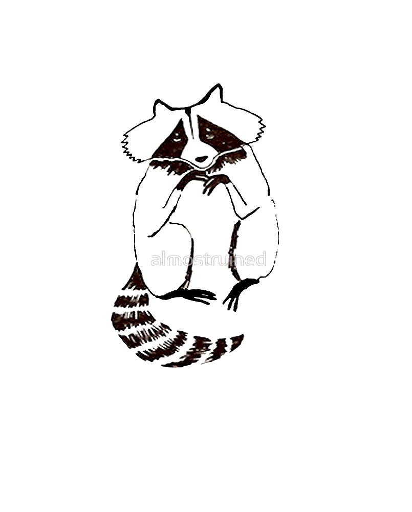 805x1000 Eliott's Raccoon Drawings