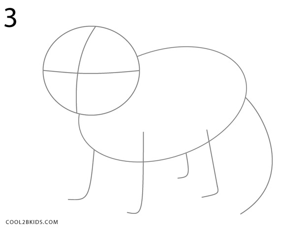 620x465 How To Draw A Raccoon