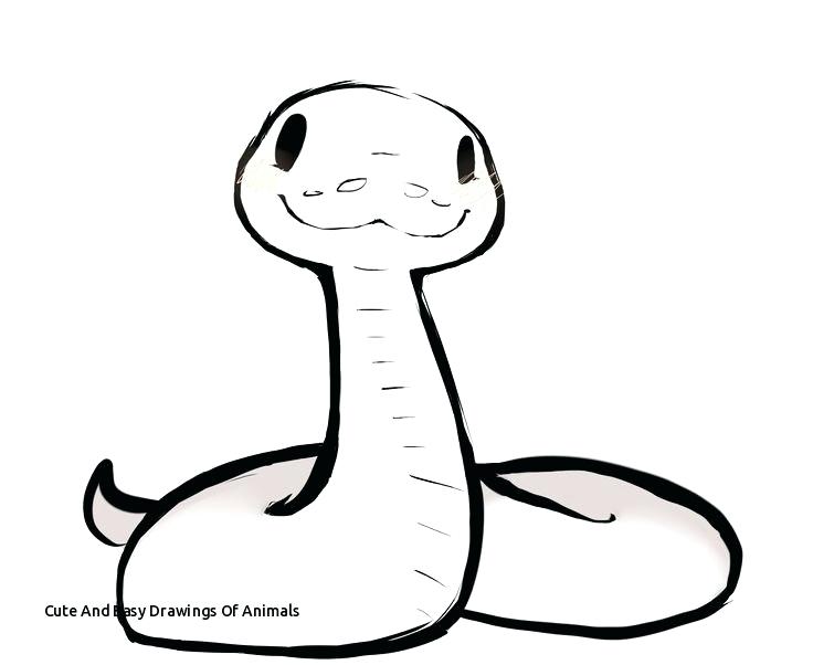 736x602 Drawings Of Animals