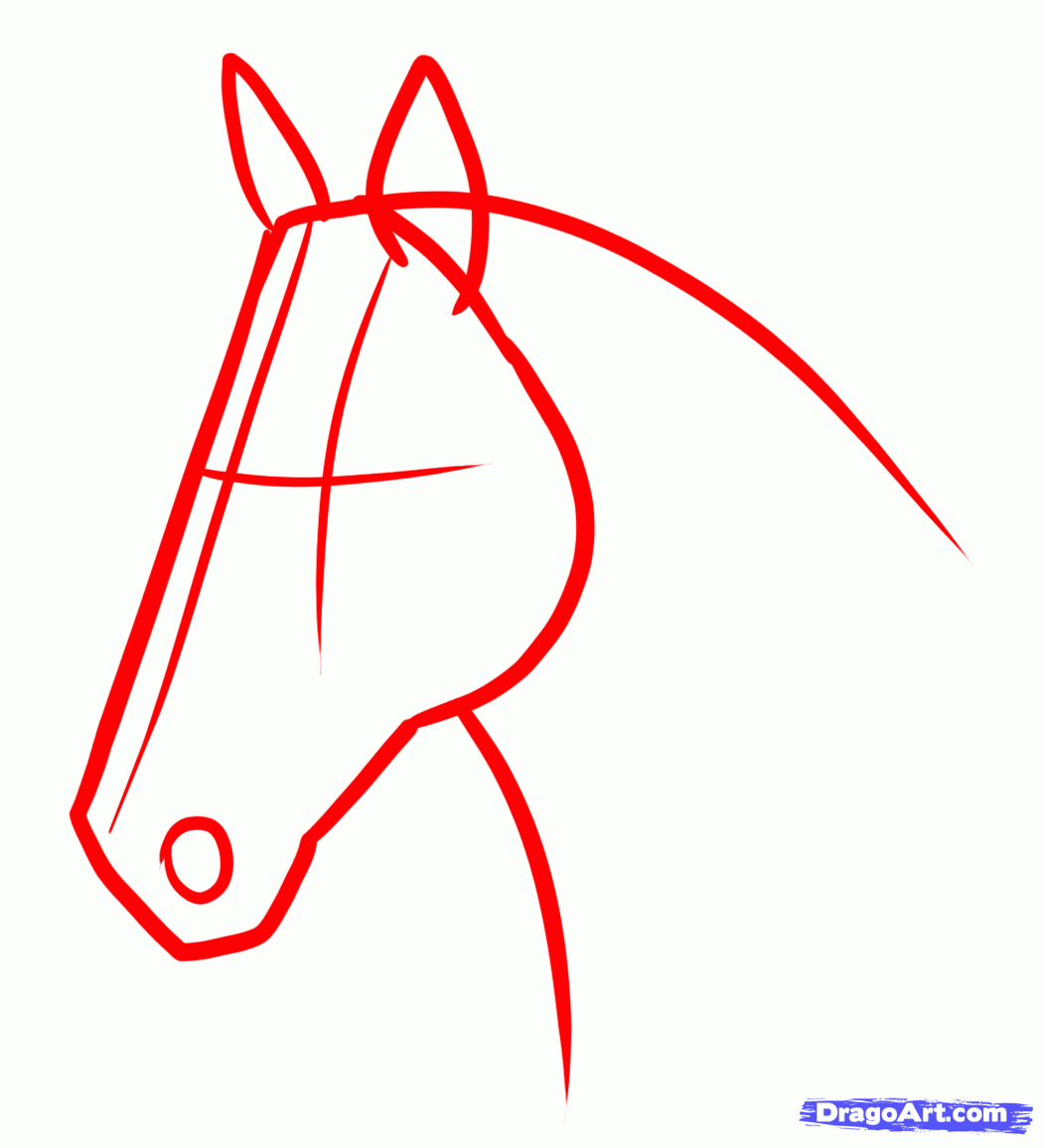 Поэтапное рисование морды лошади
