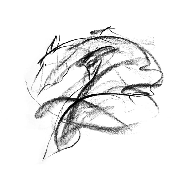 800x800 Horse Energy Print