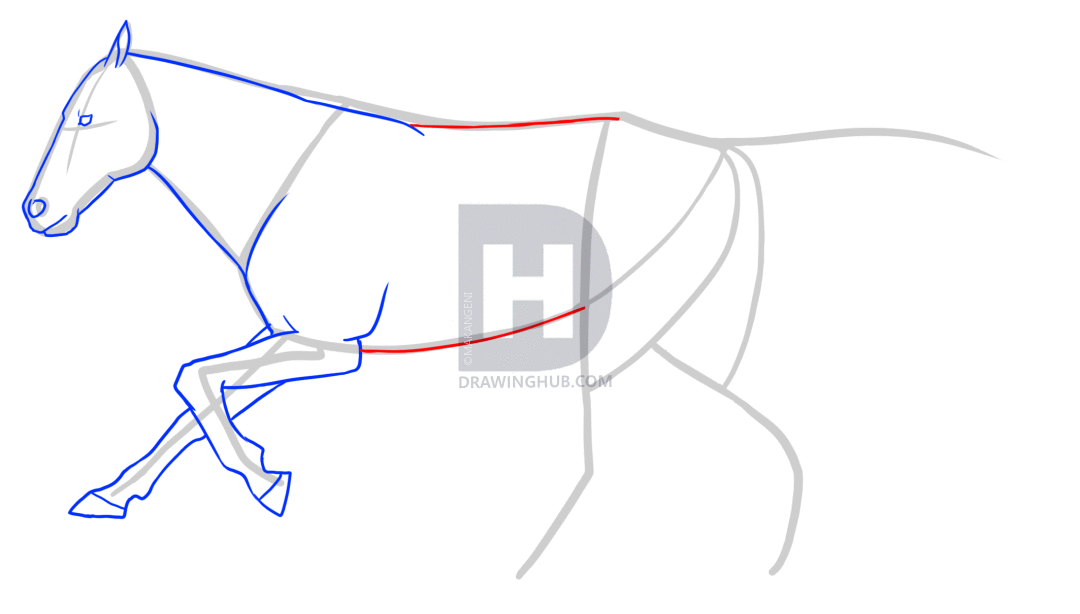 1080x614 How To Draw A Race Horse, Step