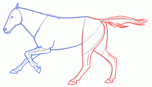 302x172 How To Draw A Race Horse, Step
