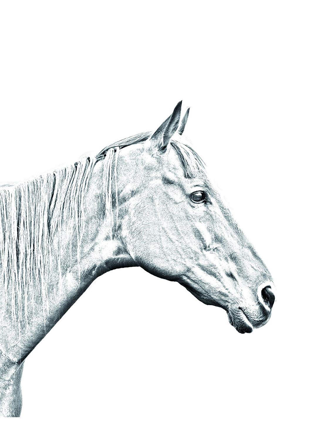 1111x1500 Art Dog Ltd Retired Race Horse, Oval Gravestone