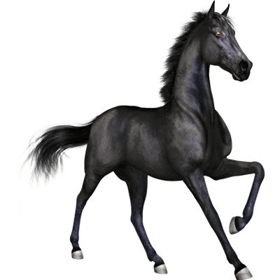 400x400 Racing Horses Transparent Png