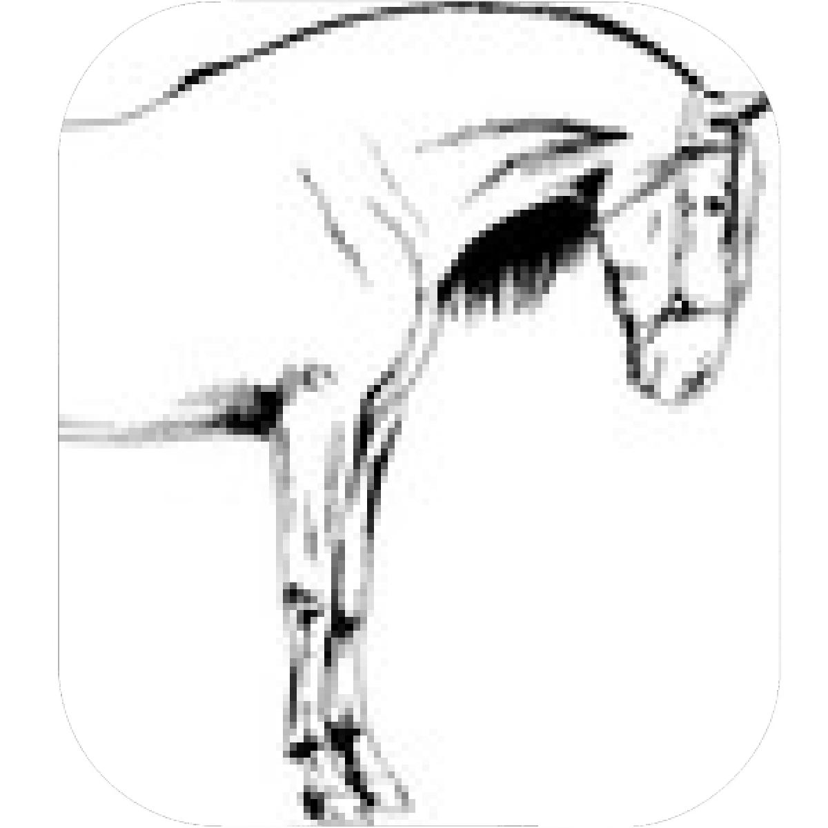 1200x1200 Designs Mein Mousepad Design Mousepad Selbst Designen