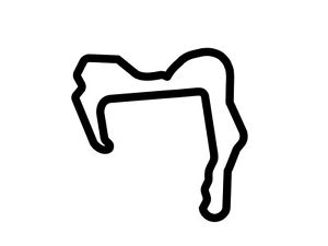 300x225 Buttonwillow Raceway Park Decal Sticker Outline Vinyl Race Track